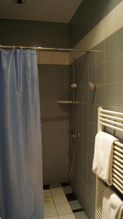 Appart'Hotel Bellevue Thermes De La Reine 巴涅尔德比戈尔 客房 照片